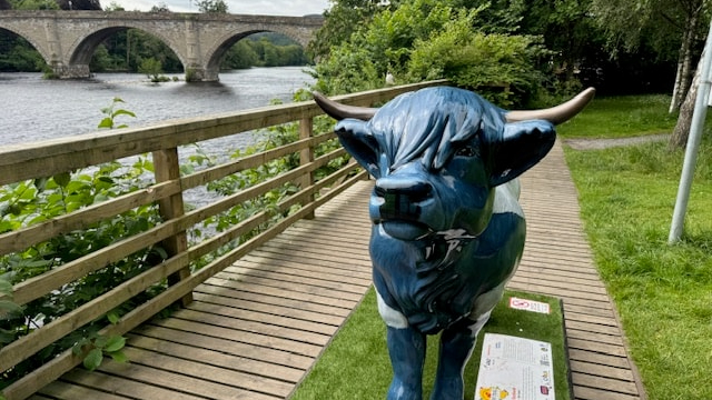 Motability Operations Hairy Highland Coo